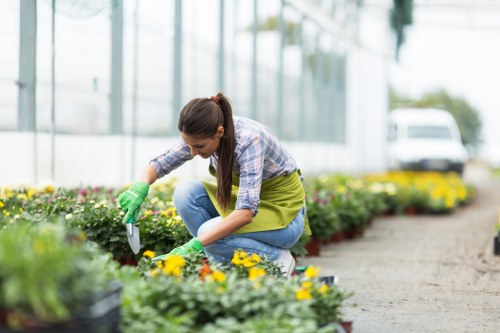 Eco-friendly decking options with sustainable materials