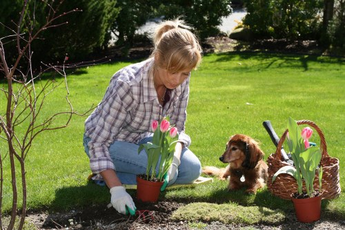 Composted mulch and recycled garden materials ready for reuse